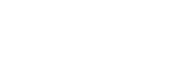 Flipydo Logo